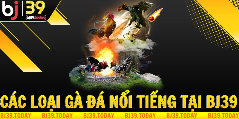 cac-loai-ga-da-noi-tieng-tai-bj39