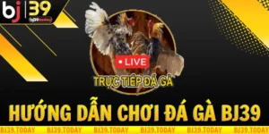 huong-dan-choi-da-ga-tai-bj39 (1)