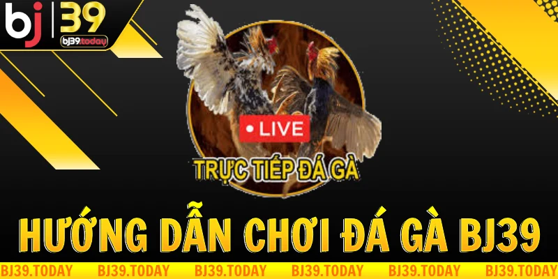 huong-dan-choi-da-ga-tai-bj39 (1)