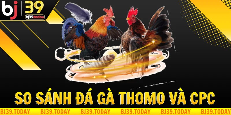 so-sanh-da-ga-thomo-va-da-ga-campuchia-tai-bj39