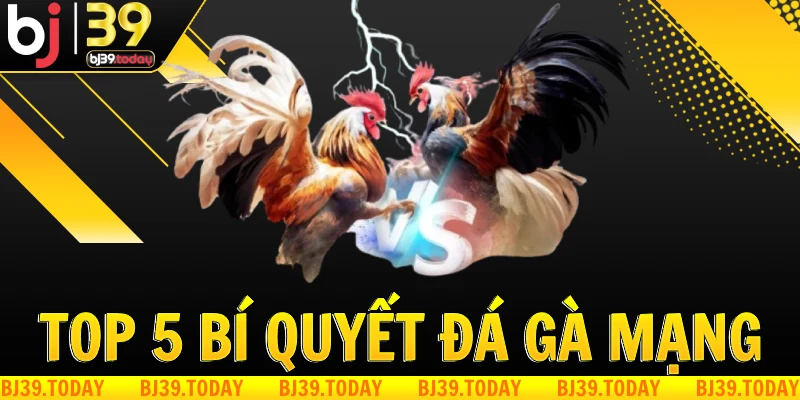 top-5-bi-quyet-da-ga-mang-danh-chien-thang