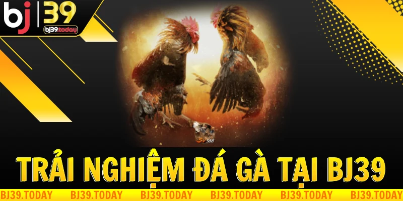 trai-nghiem-da-ga-mang-tai-bj39
